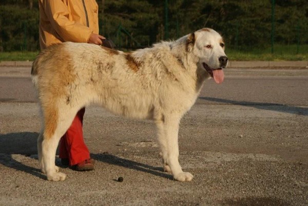 ALTYNBAY GYULDZHAN