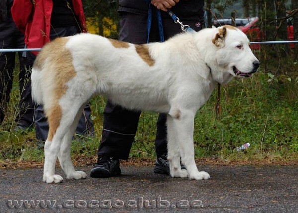 ALTYNBAY GYULDZHAN