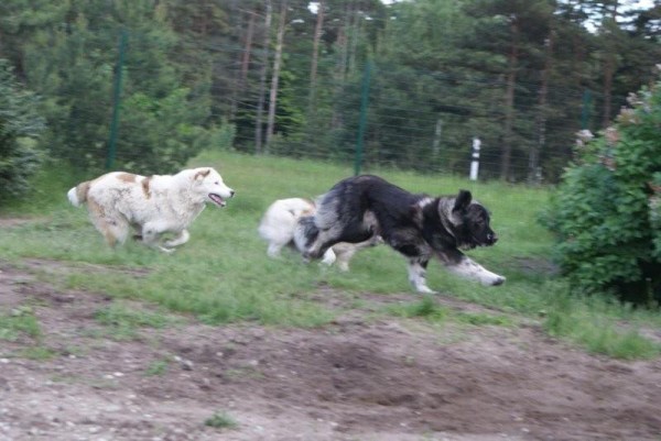 ALTYNBAY GYULDZHAN