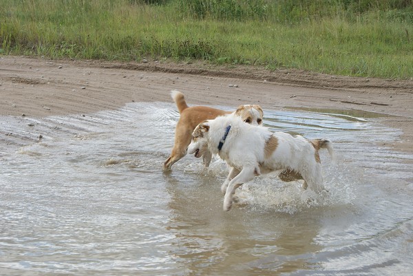 ALTYNBAY GYULDZHAN