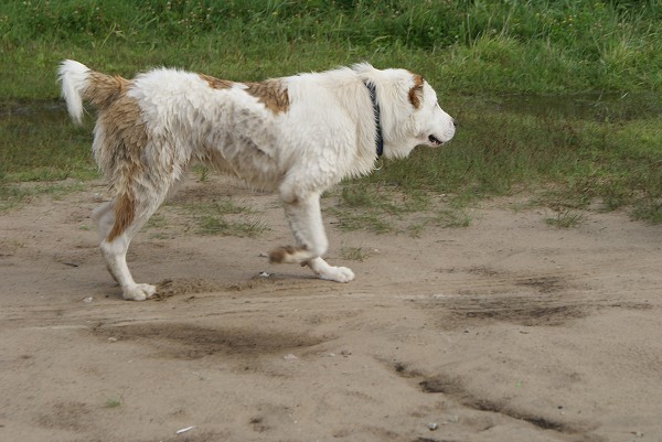 ALTYNBAY GYULDZHAN