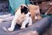 5864_nazar