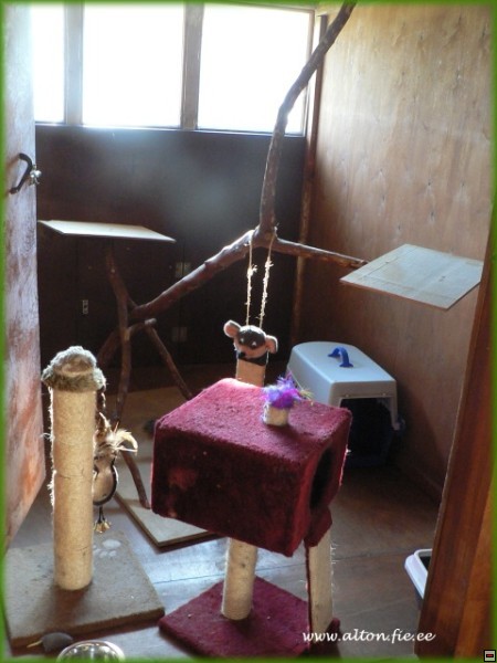img00013.jpg