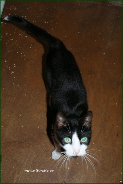 img00015.jpg