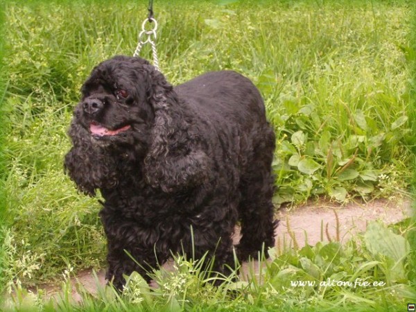 img00028.jpg