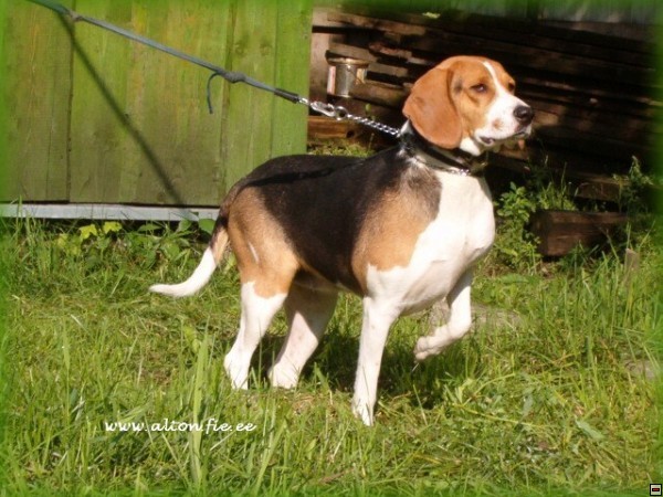 img00032.jpg