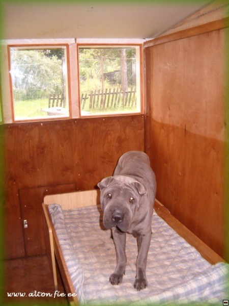img00035.jpg