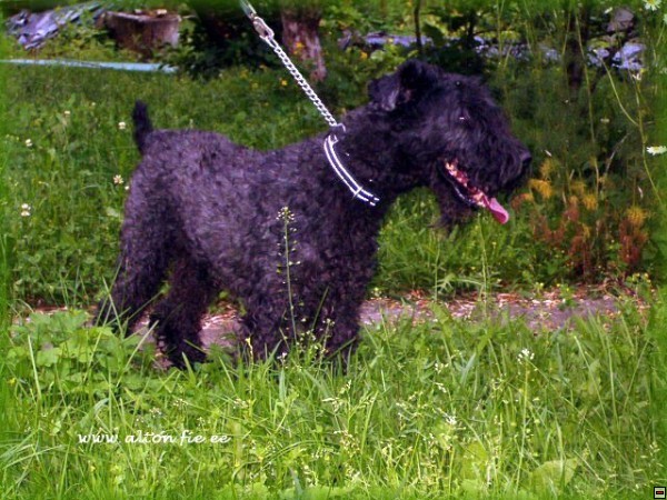 img00038.jpg