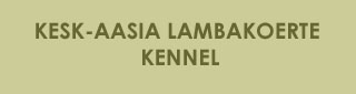 kesk-aasia lambakoerte kennel